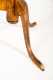 Dunlap Style Tiger Maple Candlestand