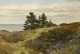 Coastal New England Landscape Paintings