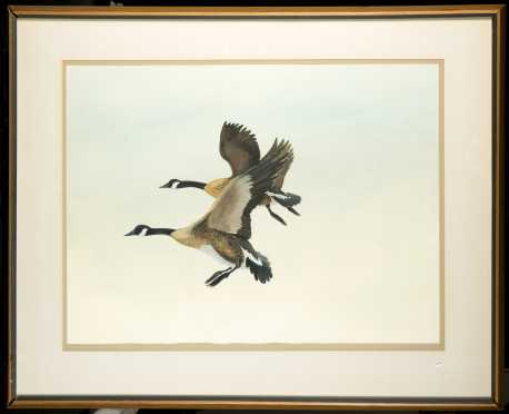 Watercolor Painting of Two Geese Coming into Land