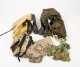 Lot of Five Fly Fishing Vests