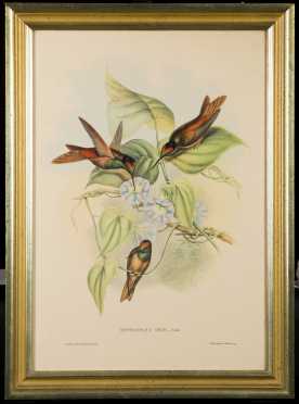 Print with Three Hummingbirds