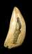 E19thC Peruvian Decorated Whale's Tooth