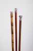 Three Silver Capped Canes