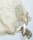 Thirteen Pieces of Doll's Clothing in Blues and Whites