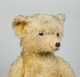 21" Mohair Teddy Bear