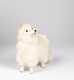 White Fur Dog Candy Container