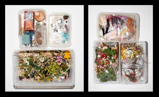 Six Plastic Boxes of Flowers
