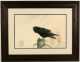 Leonard Paul, watercolor on paper, "A Crow"