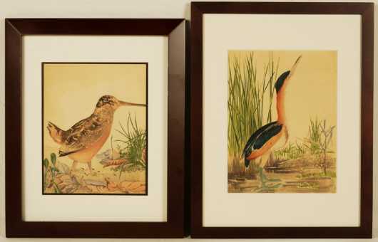 Two Hand Colored Prints of Birds