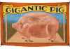 Circus Banner Depicting a Pig
