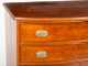 Hepplewhite Cherry and Tiger Maple Bow Front Chest of Drawers