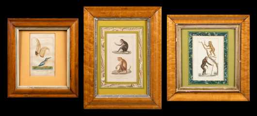 Three Maple Frames with Prints
