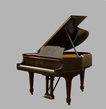 Steinway and Sons Model "M" Grand Piano C1918