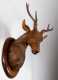 Black Forest Carved Rosewood Stag Head