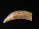 American 19thC Scrimshaw Decorated Whale's Tooth