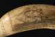 American 19thC Scrimshaw Decorated Whale's Tooth