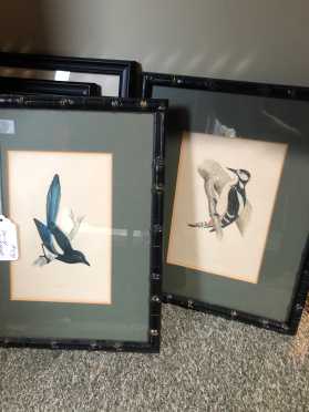Pair Bird Prints in bamboo Matching Frames, Magpie and Woodpecker