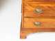 New Hampshire Chippendale Four Drawer Chest in Wavy Birch