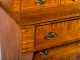 Tiger/ Birdseye Maple Empire Chest of Drawers