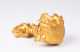 A Pre Columbian Tairona Gold Figural Lidded Vessel