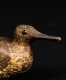 Massachusetts Plover Shorebird Decoy in Original Paint