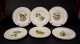 Set of Nine Alfred Meakin England II "Audubon Plates"