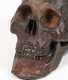 "Menet" Signed Bronze Skull, Copy