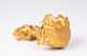 A Pre-Columbian Tairona Gold Figural Lidded Vessel