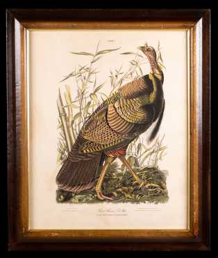 After J.J. Audubon "Great American Cock Male" 1937 Edition