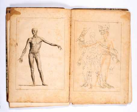 John Brisbane, The Anatomy of Painting: Or a Short and Easy Introduction to Anatomy