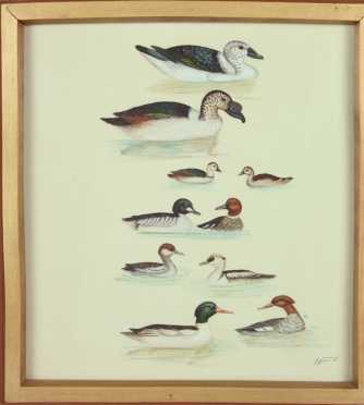 Nepalese Water Painting, plate for the book, "Birds of Nepal"