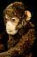 Vintage Brown Mohair Attributed Steiff Jointed Monkey "Jocko 24"