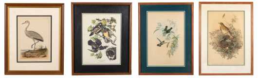 Lot of Four Colored Bird Prints