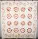 19thC Trapunto Floral and Vine Border Quilt