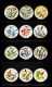 The National Audubon Society Porcelain Plate Collection