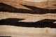 Five Navajo Scatter Size Rugs/ Weavings