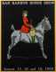 Bar Harbor Horse Show Poster 1909