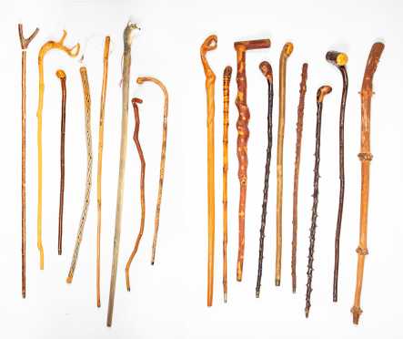 Seventeen Canes and Walking Sticks