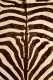 20thC African Zebra Skin