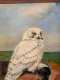 Snowy Owl, Oil on Board
