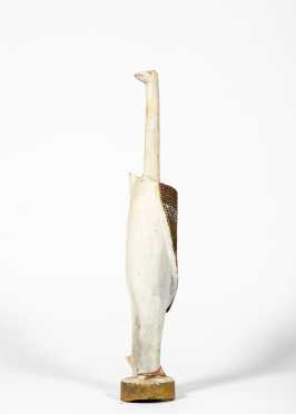 An Australian Aboriginal Pelican