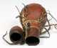 A Nakuru Calabash Drinking Gourd, Kenya