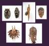 Six African Masks
