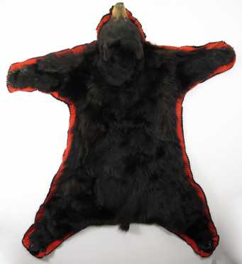 Maine Black Bear Rug