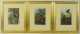 Lot of Nine ," L Prang and Co. Chromolithograph Prints of Birds