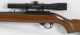 Ruger 10/22 carbine with an 18" barrel in .22 long rifle