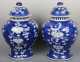 Pair of Chinese Blue and White Covered Prunus Jars